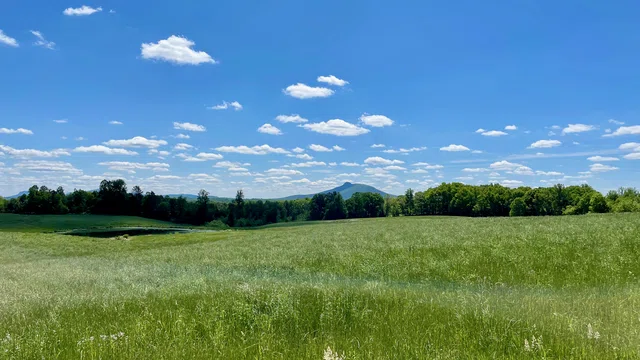 View of Pilot Mountain - Cycling route