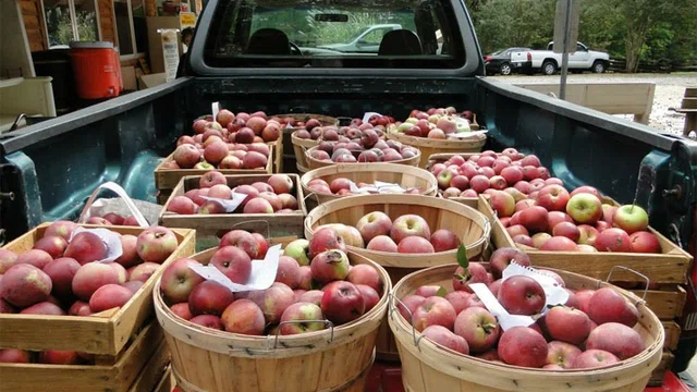 Horne Creek Historical Living Farm
