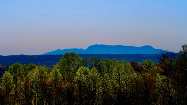 Mount Airy - Pilot Mountain loop view of Sauraus